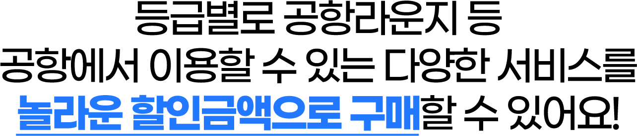 등급별로 라운지 등 공항에서 이용할 수 있는 다양한 서비스를 놀라운 할인금액으로 구매할 수 있어요!